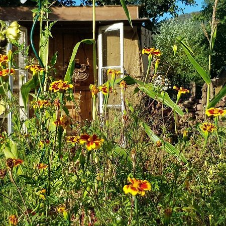مبيت وإفطار Rougegoutte Le Jardin Des Gouttes المظهر الخارجي الصورة